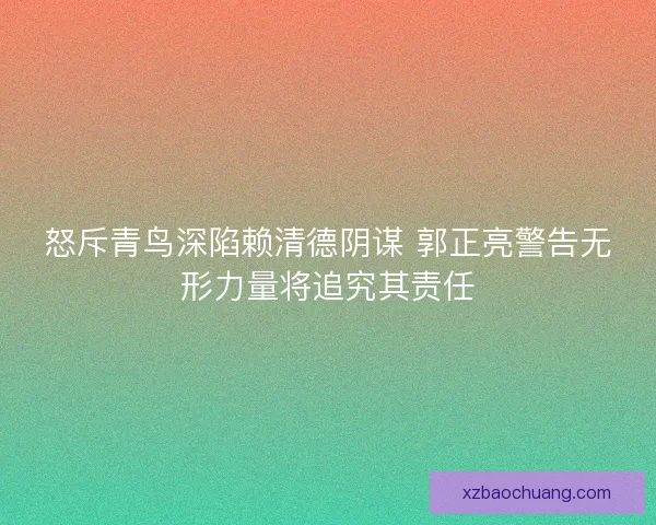 怒斥青鸟深陷赖清德阴谋 郭正亮警告无形力量将追究其责任