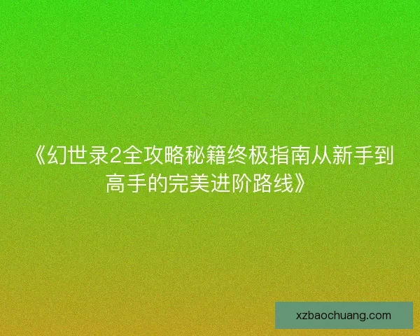 《幻世录2全攻略秘籍终极指南从新手到高手的完美进阶路线》
